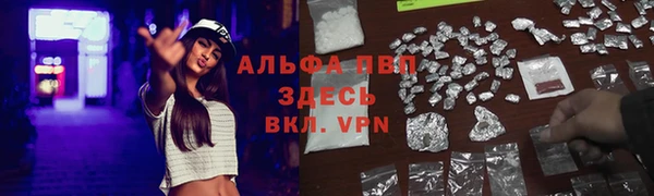 spice Зеленокумск