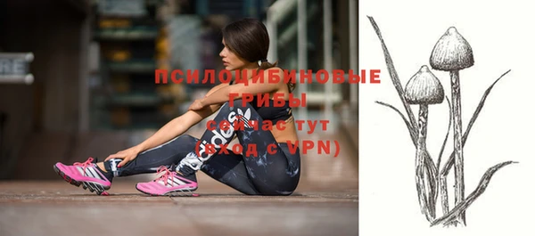 spice Зеленокумск