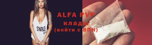 сатива Инсар