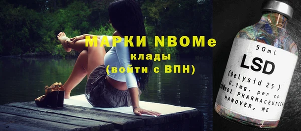 винт Инта